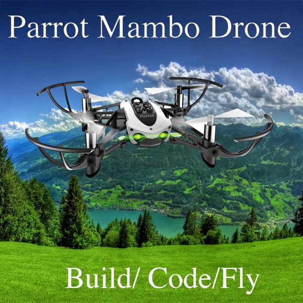 Build/ Code/ Fly Trust Program